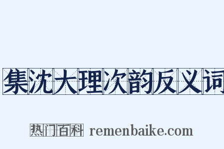 集沈大理次韵反义词是什么意思的图片